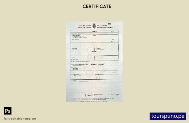 listo para imprimir plantilla de certificado de nacimiento del distrito británic